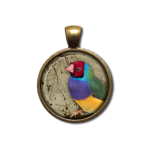 Colorful Perched Finch