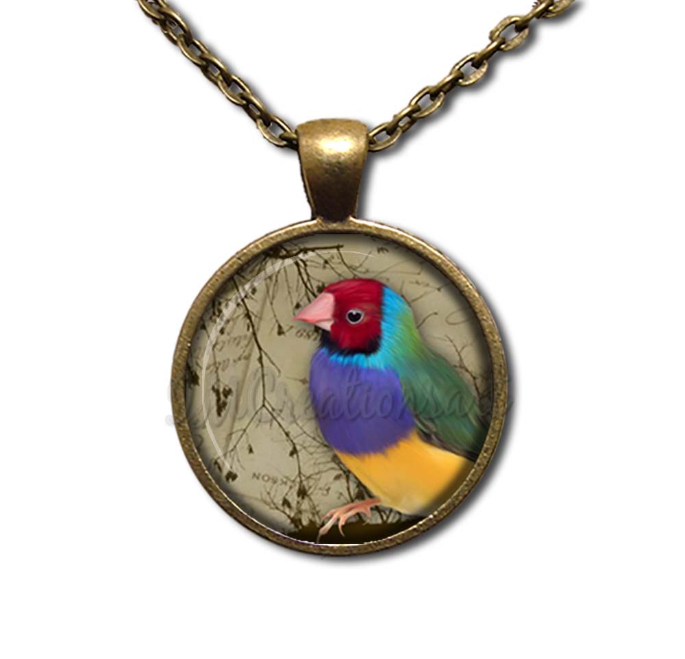 Colorful Perched Finch