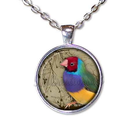 Colorful Perched Finch