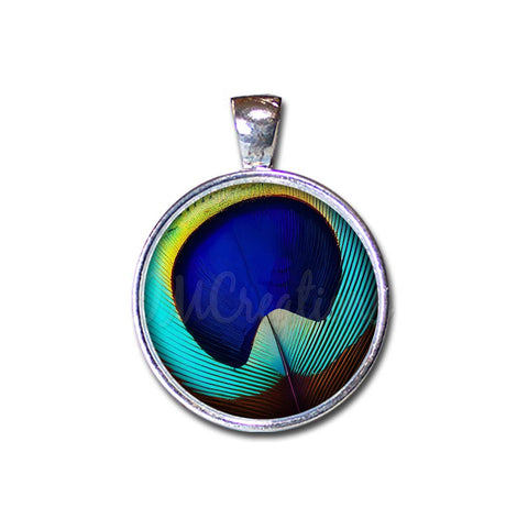 Brilliant Peacock Eye Feather