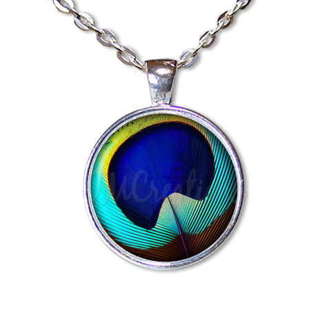 Brilliant Peacock Eye Feather