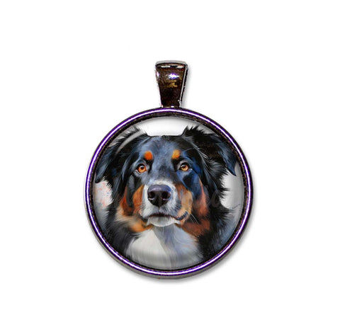 Australian Shepherd