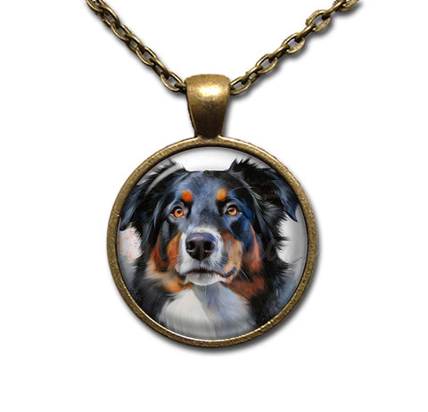 Australian Shepherd