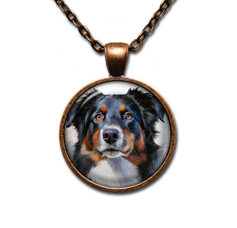 Australian Shepherd