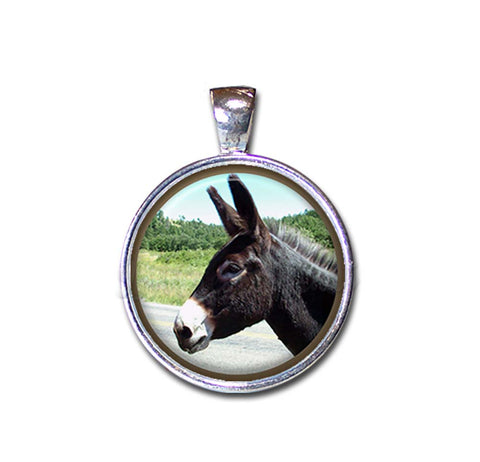 Docile Donkey