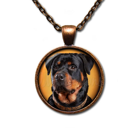 Confident Rottweiler Dog Lovers