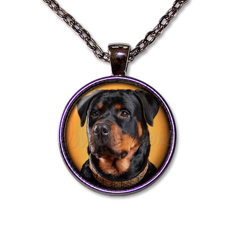 Confident Rottweiler Dog Lovers