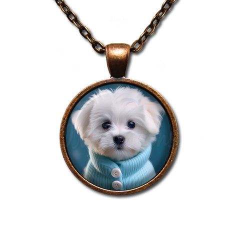 Adorable Maltese Puppy