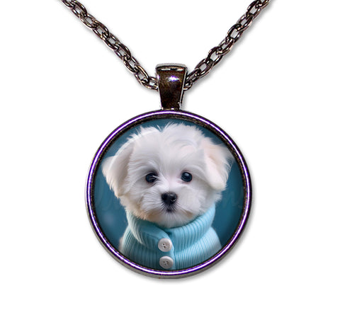 Adorable Maltese Puppy