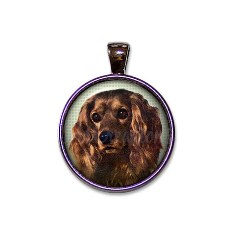 Sweet Cocker Spaniel