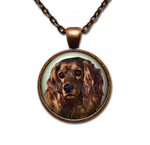 Sweet Cocker Spaniel
