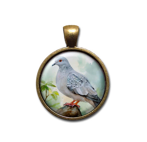 Diamond Dove