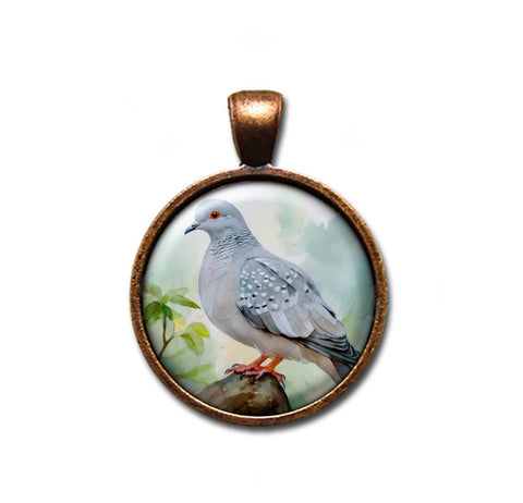 Diamond Dove