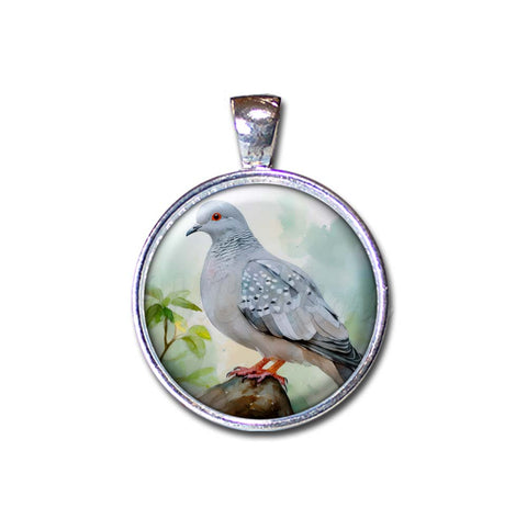 Diamond Dove