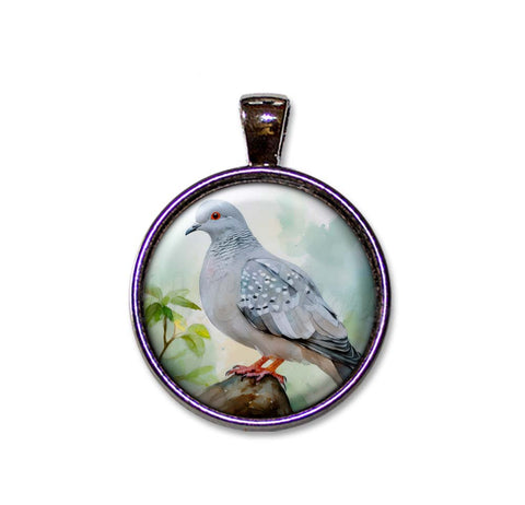 Diamond Dove