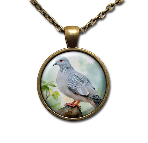 Diamond Dove
