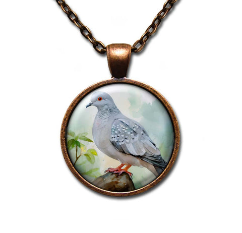 Diamond Dove