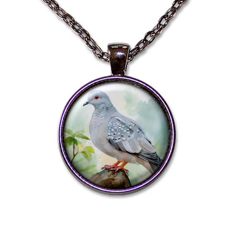 Diamond Dove