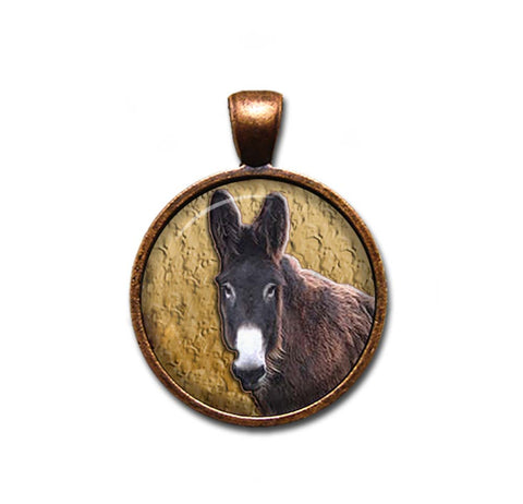 Poitou Mare Donkey