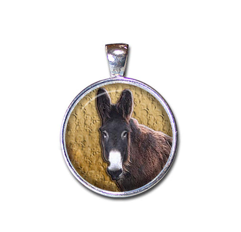 Poitou Mare Donkey