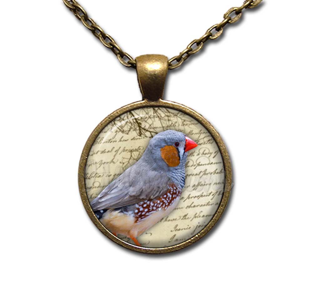 Zebra Finch Bird