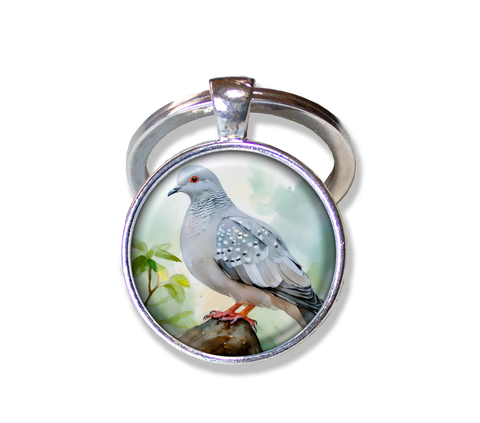 Diamond Dove