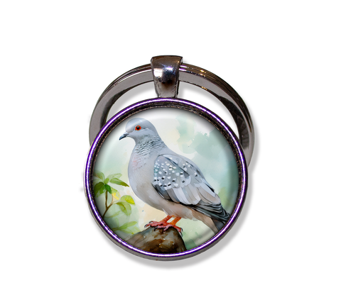 Diamond Dove