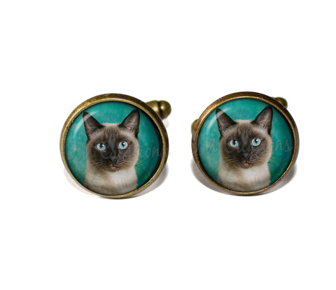 Siamese Cat on Teal