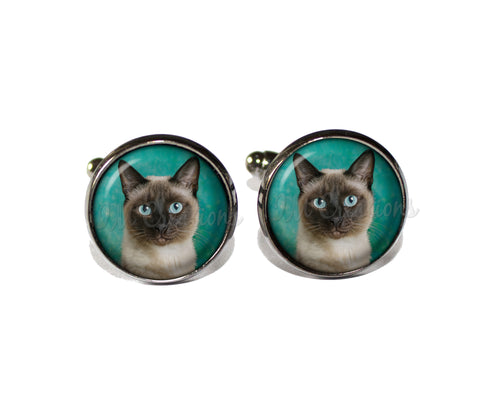 Siamese Cat on Teal
