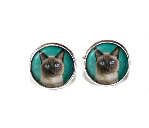 Siamese Cat on Teal