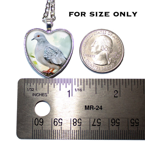Pretty Diamond Dove