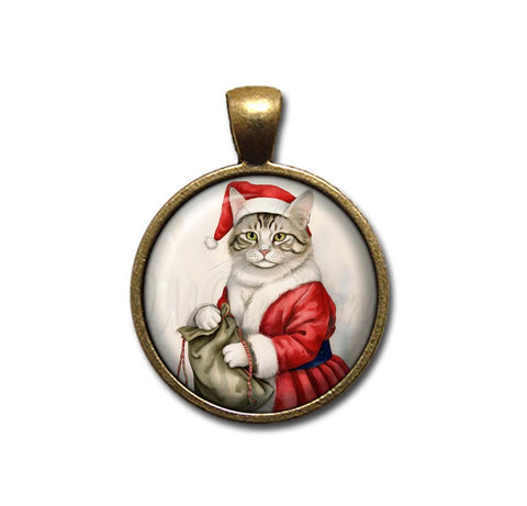 Santa Christmas Cat