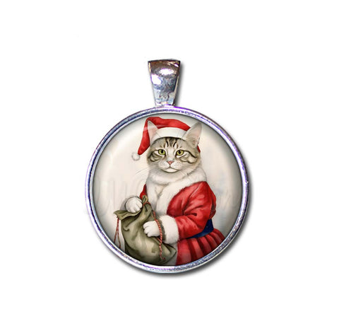 Santa Christmas Cat