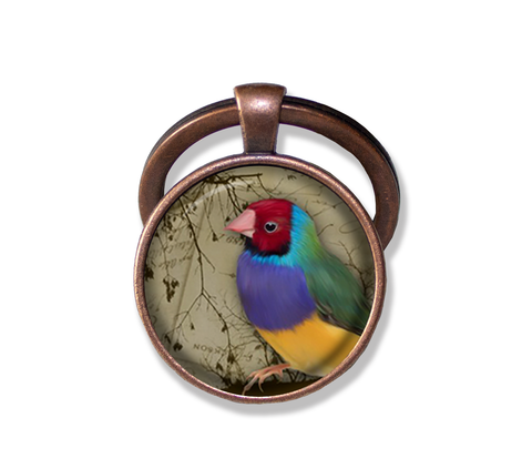 Colorful Perched Finch