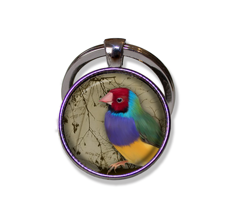 Colorful Perched Finch