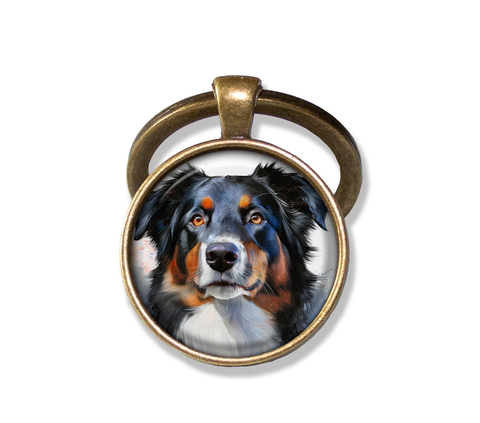 Australian Shepherd