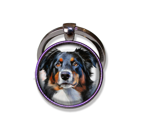Australian Shepherd