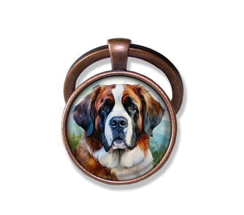 Friendly Saint Bernard