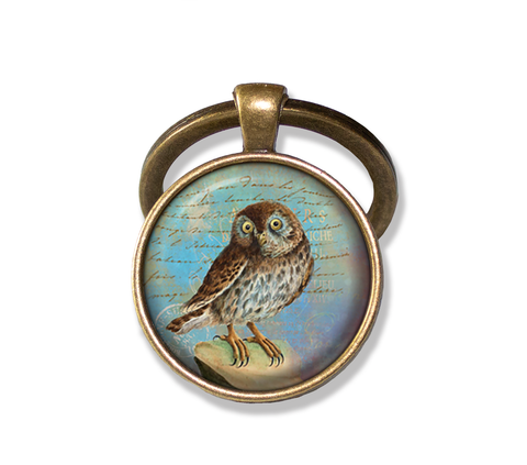 Sweet Perched Owl