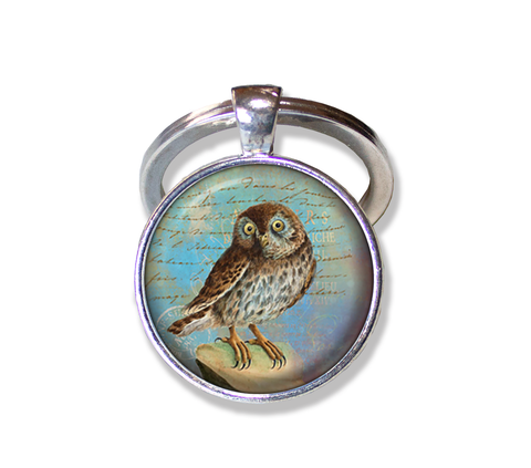 Sweet Perched Owl