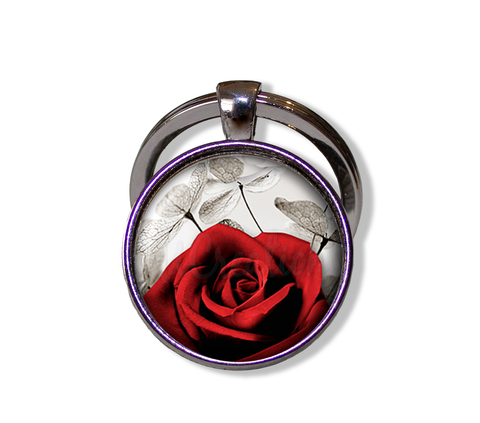 Red Rose and Money Plant