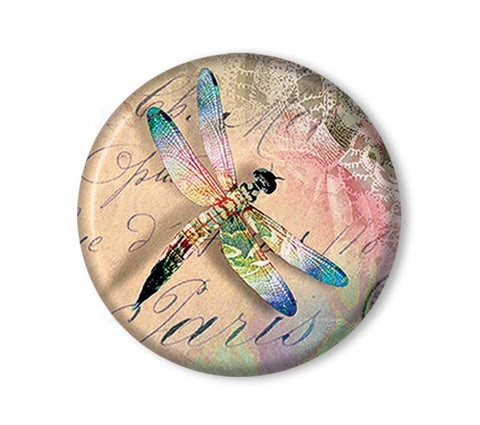 Pretty Dragonfly