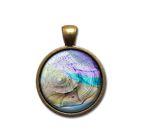 Pretty Ocean Seashell