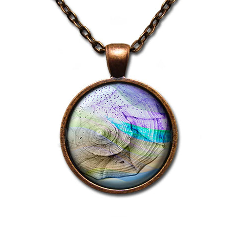 Pretty Ocean Seashell