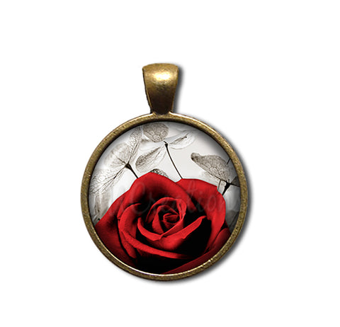 Red Rose and Money Plant