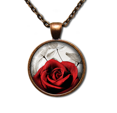 Red Rose and Money Plant