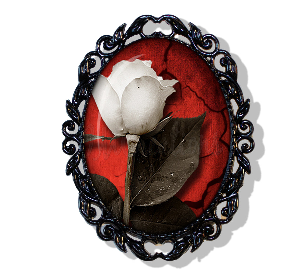White Rose on Red