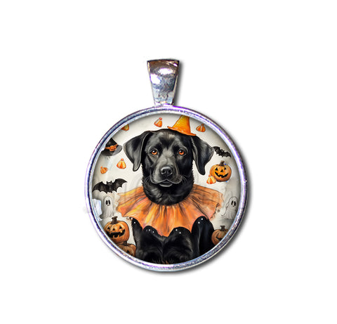 Halloween Black Lab in Costume