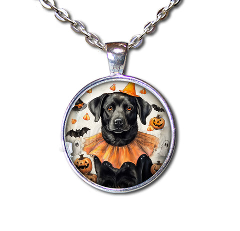 Halloween Black Lab in Costume