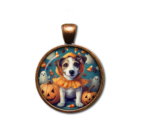 Halloween Jack Russell in Costume